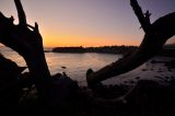 201108152027-AJS_7661.jpg